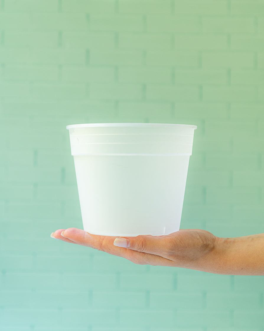 Maceta Simple Orquídeas 13 cm diámetro