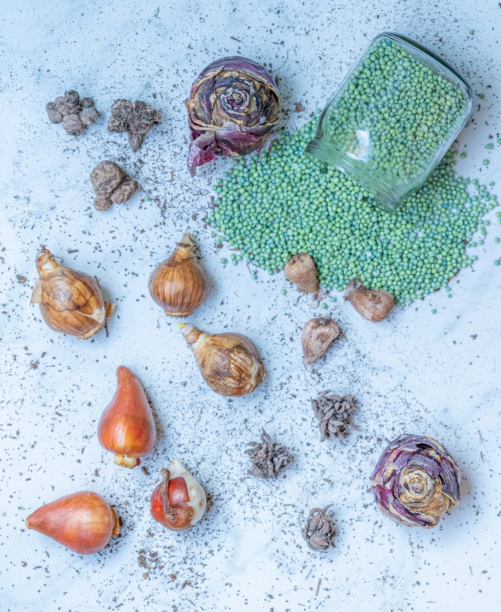 Fertilizate Basacote