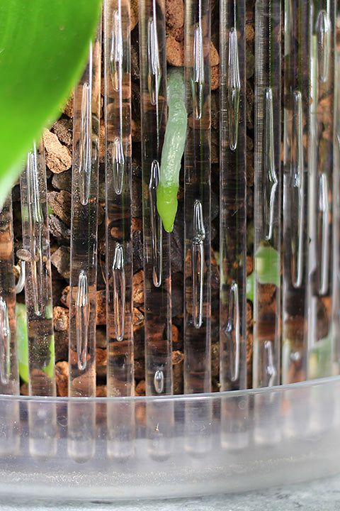 Maceta Orquídeas Orchitop