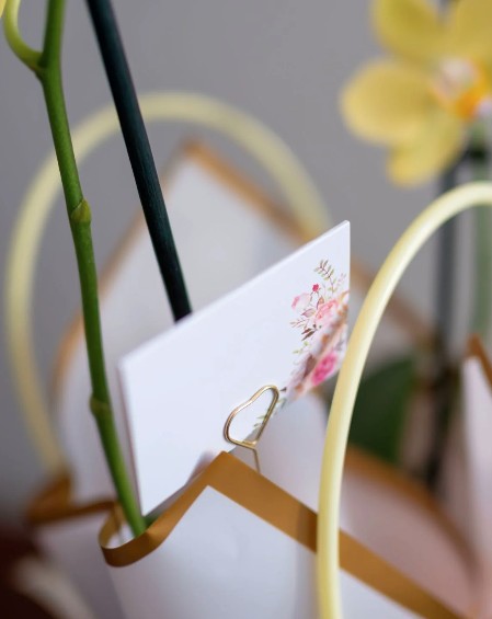 Arreglo Orquídea "Nuvola"
