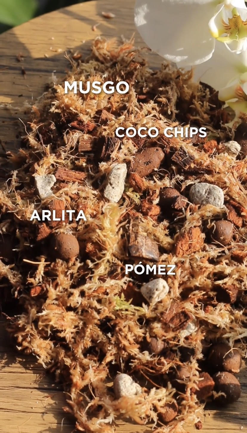 Sustrato Premium Orquídeas