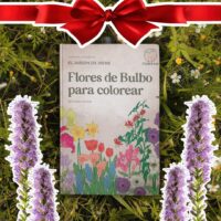 Libro"FLORES DE BULBO" + 5 Gladiolos de Regalo