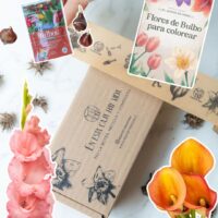 PACK REGALO "Bulbos Para Mamá"