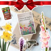 PACK REGALO "Bulbos Para Mamá"