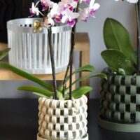 Maceta Orquídea 3D "Sinol"
