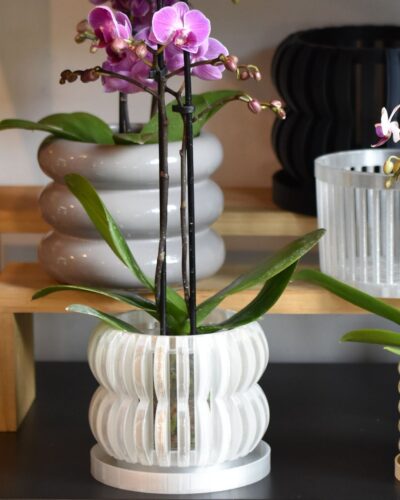 Maceta Orquídea 3D "Oli"