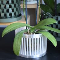 Maceta Orquídea 3D "Chesterlock"