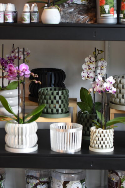 Maceta Orquídea 3D - Imagen 6