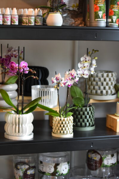 Maceta Orquídea 3D