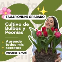 Taller Cultivo de Bulbos VERSIÓN GRABADA