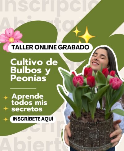 Taller Cultivo de Bulbos VERSIÓN GRABADA