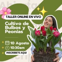 Taller Online EN VIVO "Bulbos, Tulipanes y Peonías"