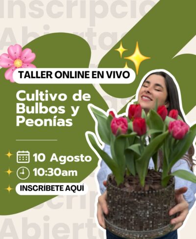 Taller Online EN VIVO "Bulbos, Tulipanes y Peonías"