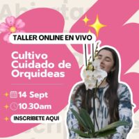 Taller Online EN VIVO "Orquídeas"