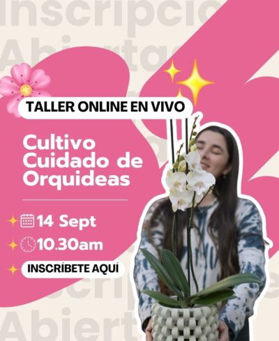 Taller Online EN VIVO "Orquídeas"