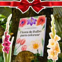 Libro"FLORES DE BULBO" + 5 Gladiolos de Regalo