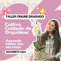 Taller Orquídeas Online VERSIÓN GRABADA
