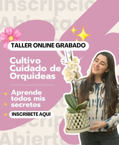 Taller Orquídeas Online VERSIÓN GRABADA