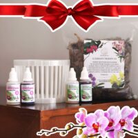 PACK Trasplante Orquídea S.O.S