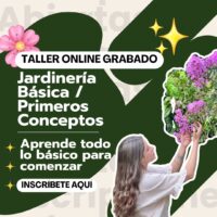 Taller Conceptos de la Jardinería y Paisajismo