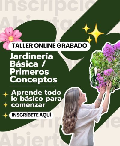 Taller Conceptos de la Jardinería y Paisajismo