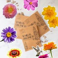 Pack Semillas "Primavera/Verano" Ciclo Cálido