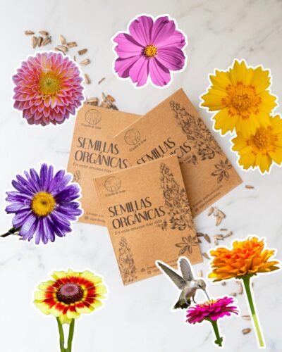 Pack Semillas "Primavera/Verano" Ciclo Cálido