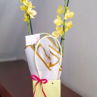Arreglo Orquídeas "Raggio di Sole"