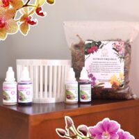 PACK Trasplante Orquídea Premium